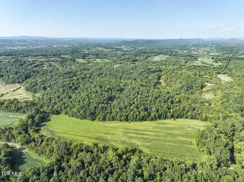 59 06 Acre Flea Ridge Road Road Mohawk Tn 37810, Mohawk, TN 37810 photo 7
