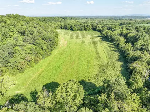 59 06 Acre Flea Ridge Road Road Mohawk Tn 37810, Mohawk, TN 37810 photo 20