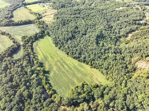 59 06 Acre Flea Ridge Road Road Mohawk Tn 37810, Mohawk, TN 37810 photo 14