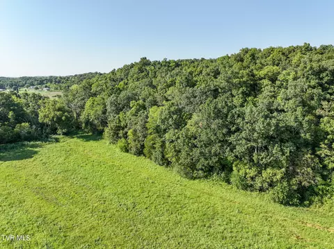 59 06 Acre Flea Ridge Road Road Mohawk Tn 37810, Mohawk, TN 37810 photo 23