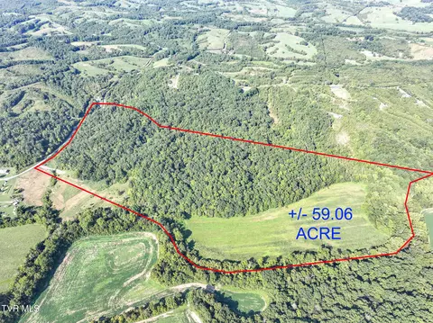59 06 Acre Flea Ridge Road Road Mohawk Tn 37810, Mohawk, TN 37810 photo 6