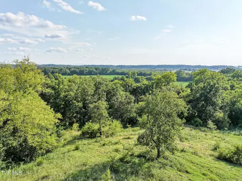59 06 Acre Flea Ridge Road Road Mohawk Tn 37810, Mohawk, TN 37810 photo 38