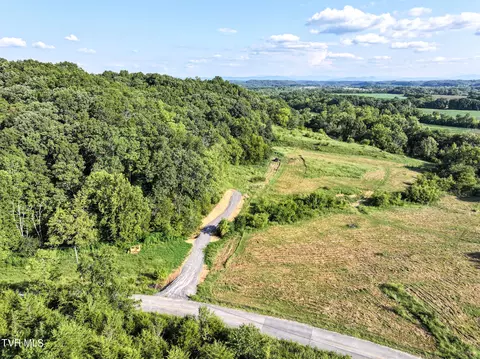 59 06 Acre Flea Ridge Road Road Mohawk Tn 37810, Mohawk, TN 37810 photo 39