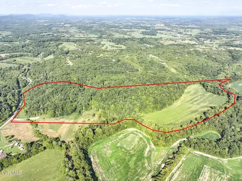 59 06 Acre Flea Ridge Road Road Mohawk Tn 37810, Mohawk, TN 37810 photo 4