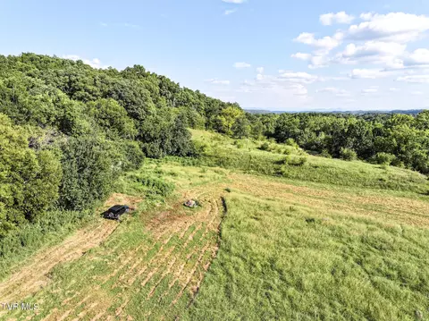 59 06 Acre Flea Ridge Road Road Mohawk Tn 37810, Mohawk, TN 37810 photo 27
