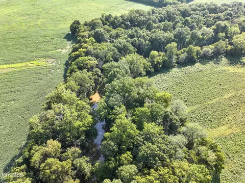 59 06 Acre Flea Ridge Road Road Mohawk Tn 37810, Mohawk, TN 37810 photo 12