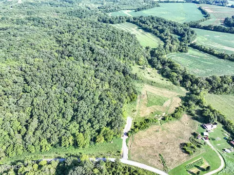 59 06 Acre Flea Ridge Road Road Mohawk Tn 37810, Mohawk, TN 37810 photo 16
