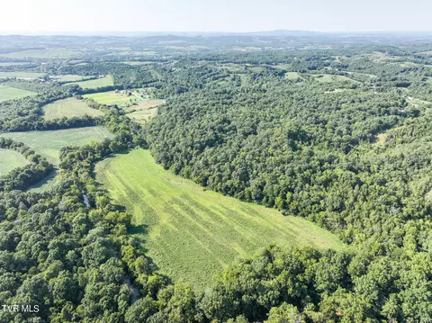 59 06 Acre Flea Ridge Road Road Mohawk Tn 37810, Mohawk, TN 37810 photo 9