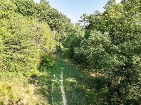 59 06 Acre Flea Ridge Road Road Mohawk Tn 37810, Mohawk, TN 37810 photo 30