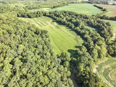59 06 Acre Flea Ridge Road Road Mohawk Tn 37810, Mohawk, TN 37810 photo 26
