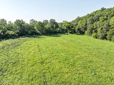 59 06 Acre Flea Ridge Road Road Mohawk Tn 37810, Mohawk, TN 37810 photo 22