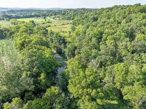 59 06 Acre Flea Ridge Road Road Mohawk Tn 37810, Mohawk, TN 37810 photo 24