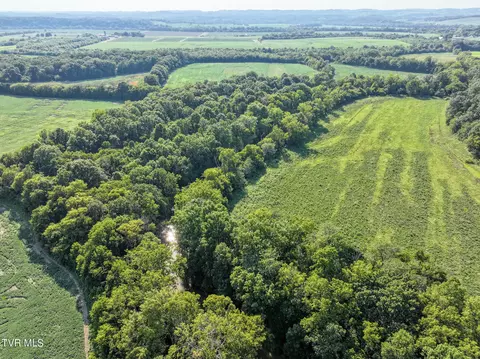 59 06 Acre Flea Ridge Road Road Mohawk Tn 37810, Mohawk, TN 37810 photo 13