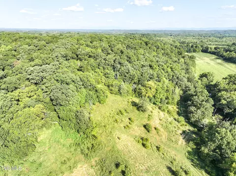 59 06 Acre Flea Ridge Road Road Mohawk Tn 37810, Mohawk, TN 37810 photo 19