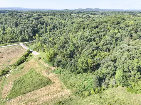 59 06 Acre Flea Ridge Road Road Mohawk Tn 37810, Mohawk, TN 37810 photo 15