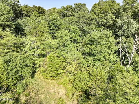 59 06 Acre Flea Ridge Road Road Mohawk Tn 37810, Mohawk, TN 37810 photo 36