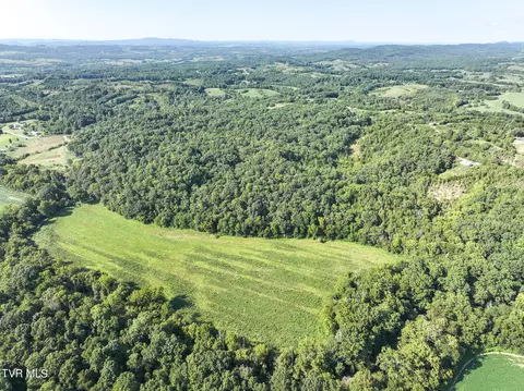 59 06 Acre Flea Ridge Road Road Mohawk Tn 37810, Mohawk, TN 37810 photo 8