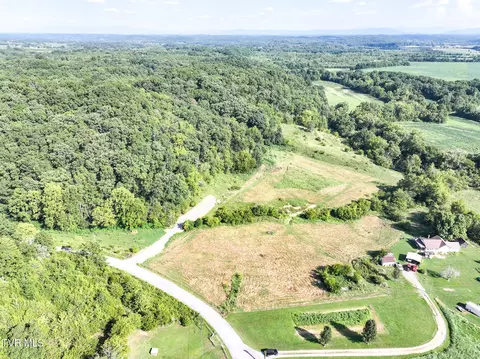 59 06 Acre Flea Ridge Road Road Mohawk Tn 37810, Mohawk, TN 37810