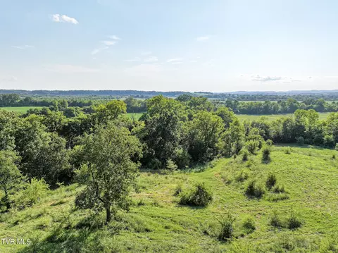 59 06 Acre Flea Ridge Road Road Mohawk Tn 37810, Mohawk, TN 37810 photo 37