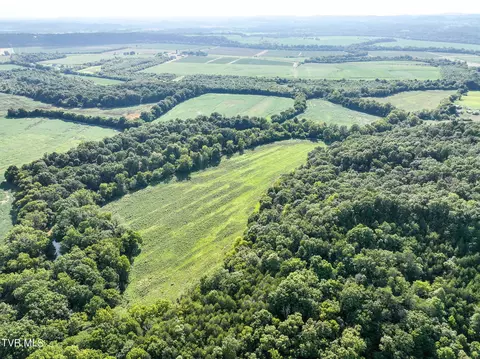 59 06 Acre Flea Ridge Road Road Mohawk Tn 37810, Mohawk, TN 37810 photo 10