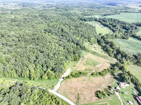 59 06 Acre Flea Ridge Road Road Mohawk Tn 37810, Mohawk, TN 37810 photo 2