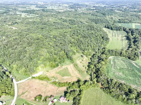 59 06 Acre Flea Ridge Road Road Mohawk Tn 37810, Mohawk, TN 37810 photo 3