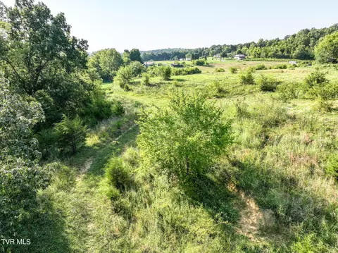 59 06 Acre Flea Ridge Road Road Mohawk Tn 37810, Mohawk, TN 37810 photo 31