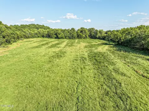 59 06 Acre Flea Ridge Road Road Mohawk Tn 37810, Mohawk, TN 37810 photo 21