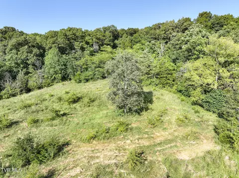 59 06 Acre Flea Ridge Road Road Mohawk Tn 37810, Mohawk, TN 37810 photo 34