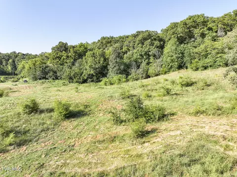 59 06 Acre Flea Ridge Road Road Mohawk Tn 37810, Mohawk, TN 37810 photo 33