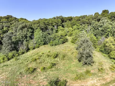 59 06 Acre Flea Ridge Road Road Mohawk Tn 37810, Mohawk, TN 37810 photo 35