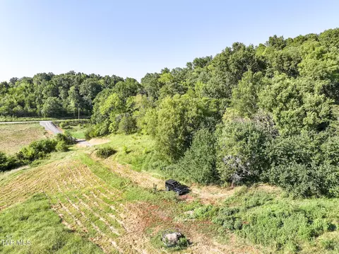 59 06 Acre Flea Ridge Road Road Mohawk Tn 37810, Mohawk, TN 37810 photo 28