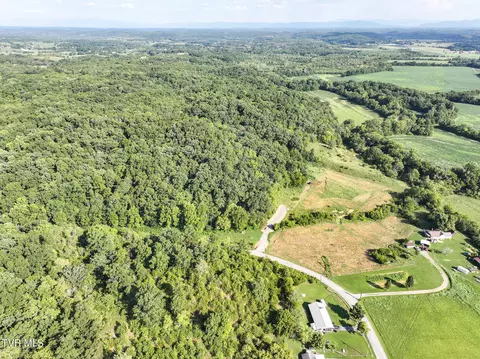 59 06 Acre Flea Ridge Road Road Mohawk Tn 37810, Mohawk, TN 37810 photo 17