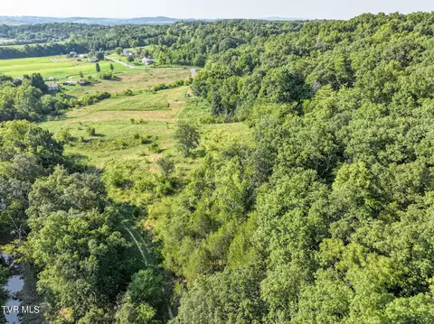 59 06 Acre Flea Ridge Road Road Mohawk Tn 37810, Mohawk, TN 37810 photo 25