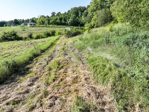 59 06 Acre Flea Ridge Road Road Mohawk Tn 37810, Mohawk, TN 37810 photo 40