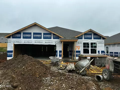 1040 Persimmon Hollow Greeneville Tn 37745, Greeneville, TN 37745