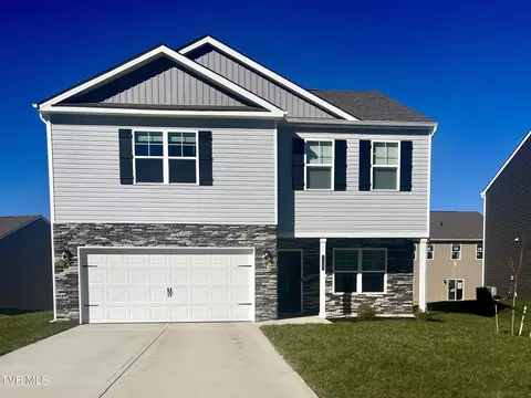 1137 Twelve Oaks Court Blountville Tn 37617, Blountville, TN 37617