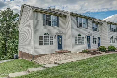 196 Amanda Lane Bristol Tn 37620, Bristol, TN 37620