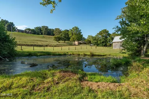 Exterior - 342 Glendale Road Limestone Tn 37681, Limestone, TN 37681 photo 43 of 53