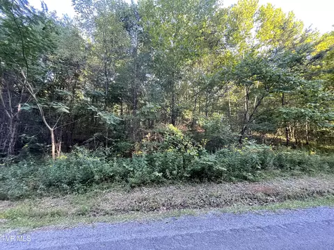 0 Speedwell Road Bulls Gap Tn 37711, Bulls Gap, TN 37711