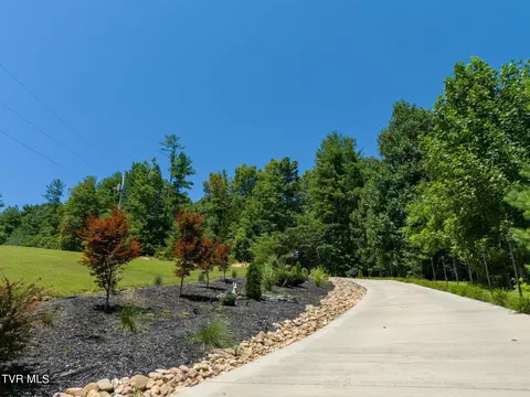 Exterior - 1141 Williams Road Erwin Tn 37650, Erwin, TN 37650 photo 12 of 29