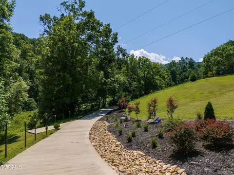 Exterior - 1141 Williams Road Erwin Tn 37650, Erwin, TN 37650 photo 9 of 29