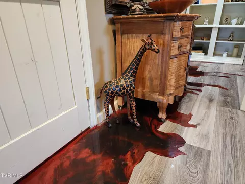 Entry Way - 1141 Williams Road Erwin Tn 37650, Erwin, TN 37650 photo 5 of 6