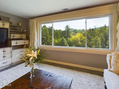 Living - 1141 Williams Road Erwin Tn 37650, Erwin, TN 37650 photo 2 of 5