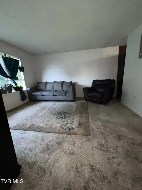 Other - 650 Hill Avenue Erwin Tn 37650, Erwin, TN 37650 photo 5 of 10