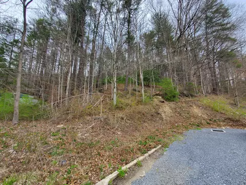 00 Off Us Highway 19e Roan Mountain Tn 37687, Roan Mountain, TN 37687