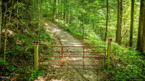 321 Browns Branch Road Hampton Tn 37658, Hampton, TN 37658