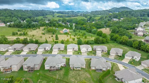 152 Ripple Falls Prive Drive Gray Tn 37615, Gray, TN 37615 photo 37