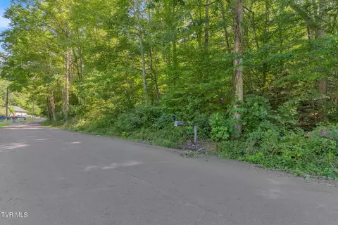 00 Artesian Well Hollow Road Big Stone Gap Va 24219, Big Stone Gap, VA 24219