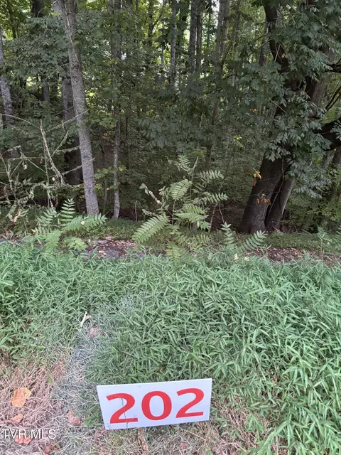 202 Ox Bow Ave Unicoi Tn 37692, Unicoi, TN 37692